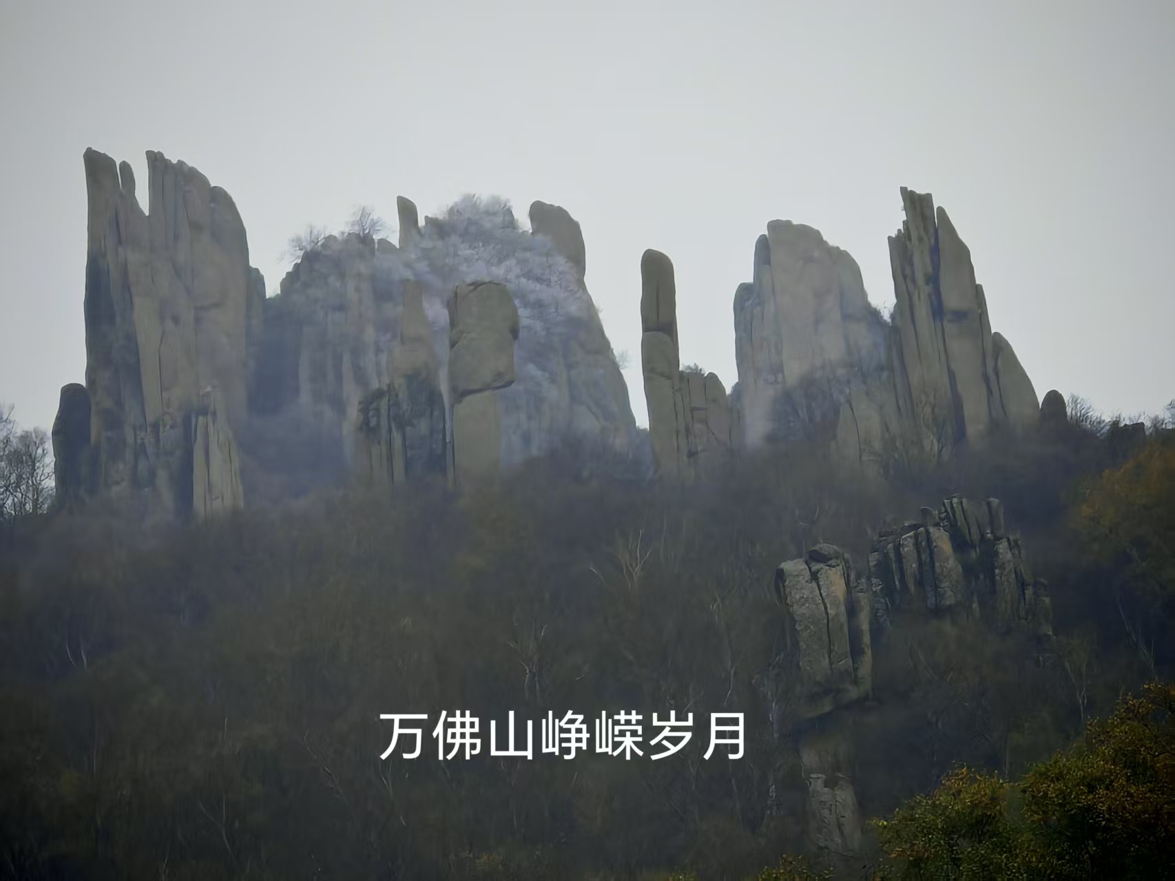 9c6157a5298de527c3db8bb3c886a48d.jpg